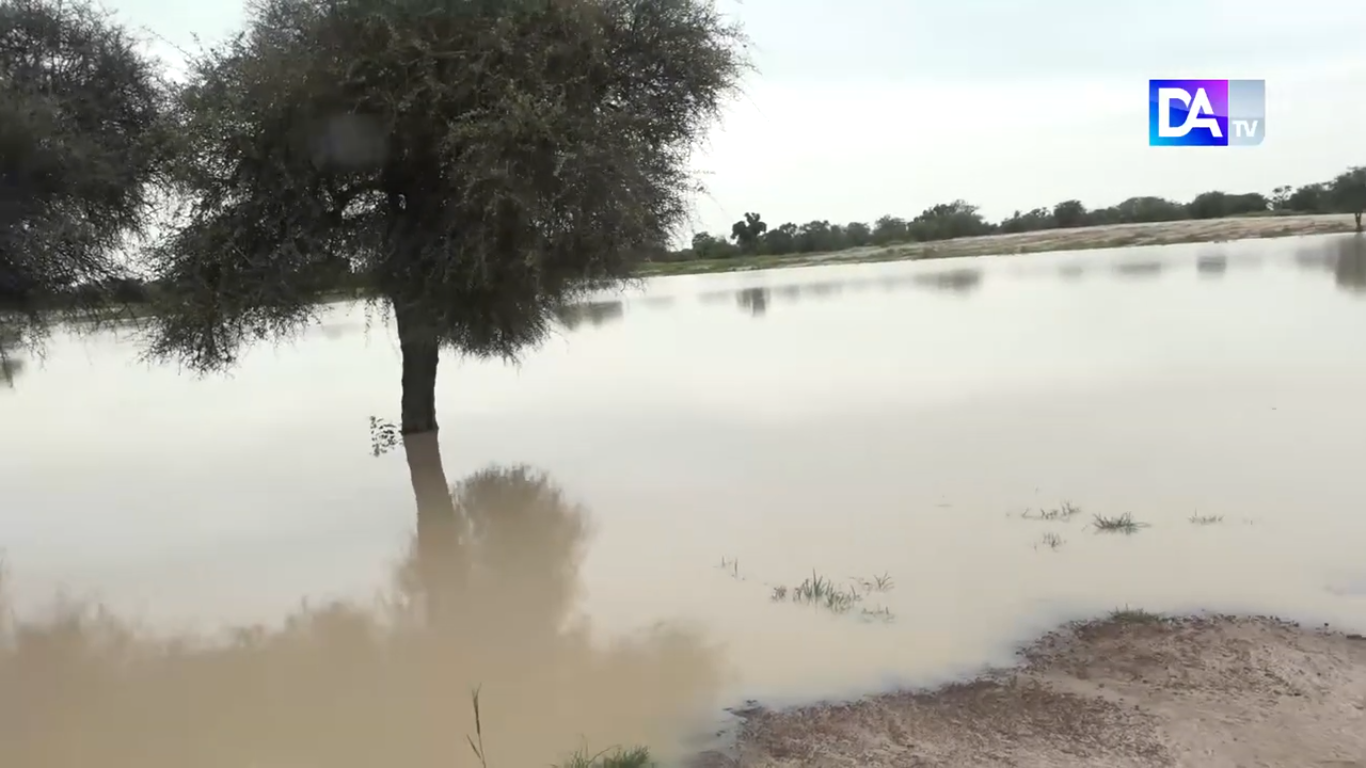 Kouthiaba Wolof/P2RC : le Directeur de l’ADL, Abdoulaye Ndao, appuie la mise en place d’un périmètre maraîcher et de la forêt nourricière de Bousra.